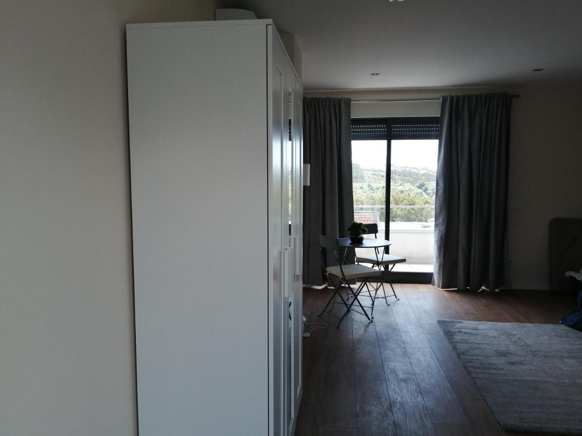 Quinta Da Lousa Guest House - Valongo - Porto エクステリア 写真